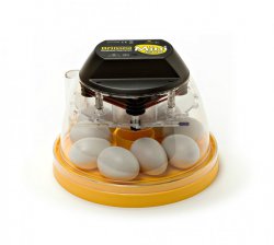 Which Incubator is Best?