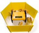 Chick Enclosure Panels