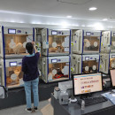 Curadle ICU PRO+ (Intensive Care Unit)