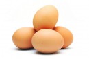 Special Hen Tray for Brinsea Ova-Easy
