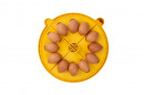 Maxi Advance and EX large egg quadrants 4 pack (12 Duck)