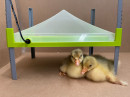 River System CALEO 1400 Cover Plate