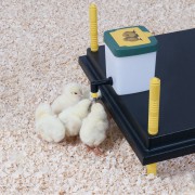 0.5Ltr Chick Nipple Drinker