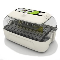 Rcom Insect 70 Incubator