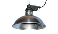 Brooding Lamps & Bulbs for Chicks