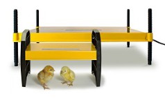 Chick Brooders