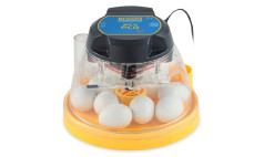 Small beginner incubators