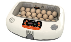 Medium-sized incubators for families and smallholders