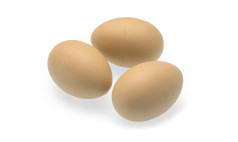 Dummy & Fake Eggs 