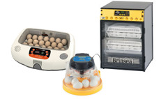 View All Incubators