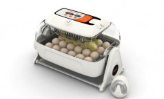 5. Choosing the right Egg Incubator