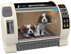 Curadle Pet Brooder ICU Max (Small)