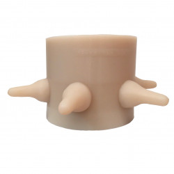 Nourrinou Bibi XL Bottle with 6 Nipples (White +++++ )