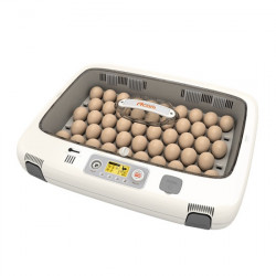 Rcom 50 DO - PRO Digital Incubator (Automatic)
