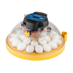 Brinsea Maxi 24 EX Incubator (Automatic)