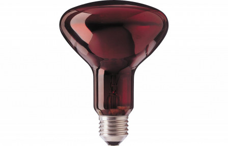 Curadle Infrared Lightbulb