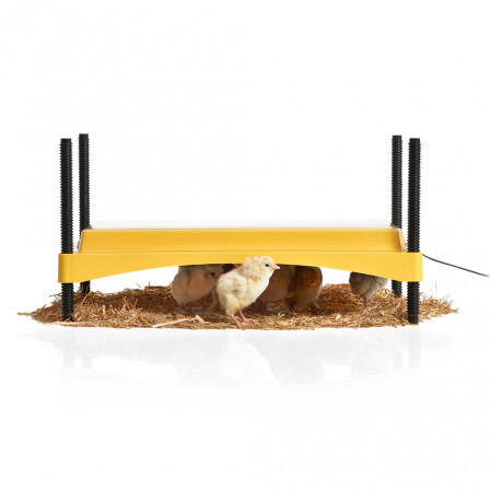 Brinsea EcoGlow Safety 1200 Chick Brooder