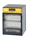 Brinsea Ova Easy 100 Advance Series II Incubator (Automatic)