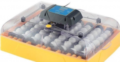 Our Incubators 