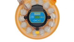 7. Optimum Conditions for Incubation and Hatching